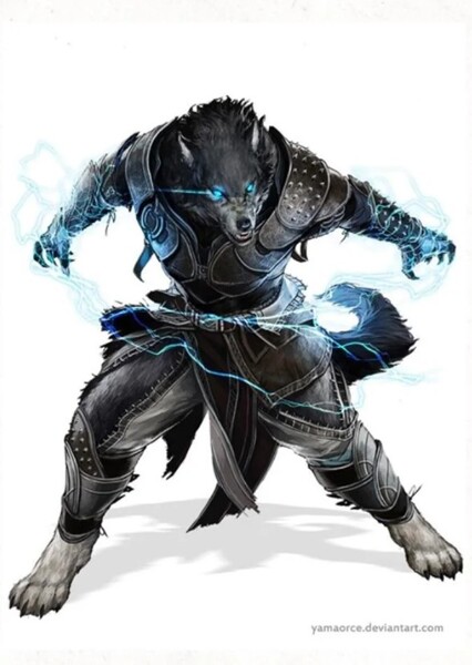 Wolffolk photo