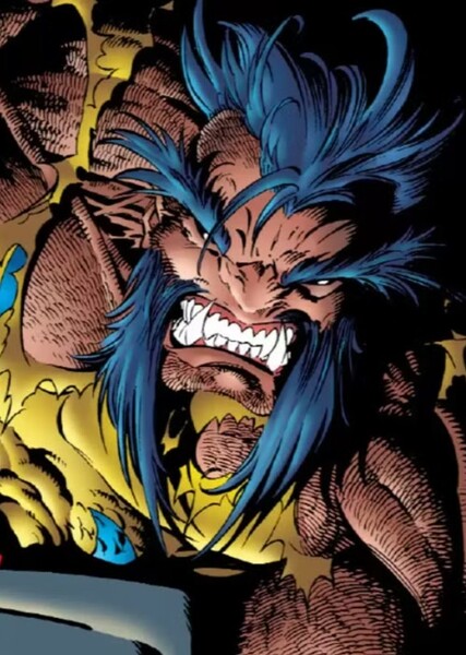 Wolverine (James "Logan" Howlett) photo