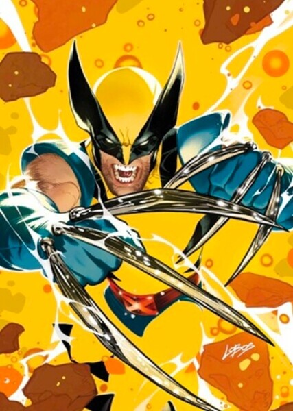 Wolverine (James "Logan" Howlett) photo