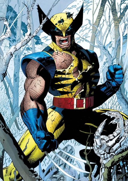 Wolverine (James "Logan" Howlett) photo