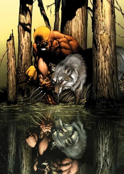 Wolverine (James "Logan" Howlett) photo