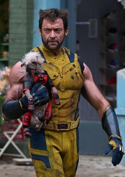 Wolverine (Fox) photo