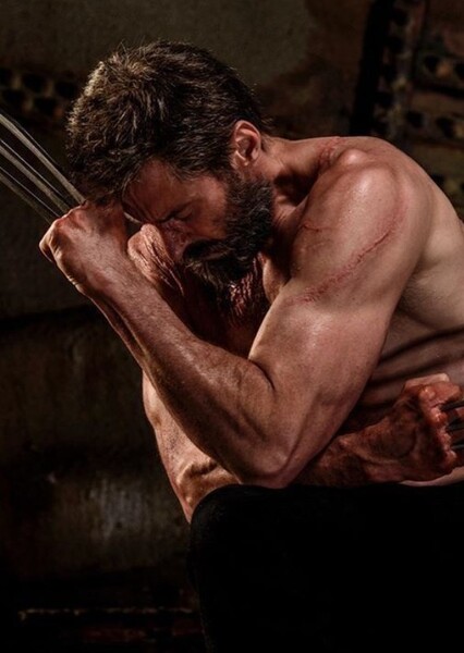 Wolverine (Fox) photo