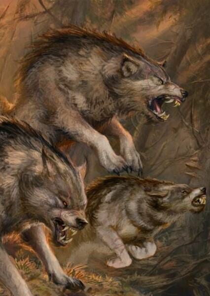 Wolves of Middle-Earth photo