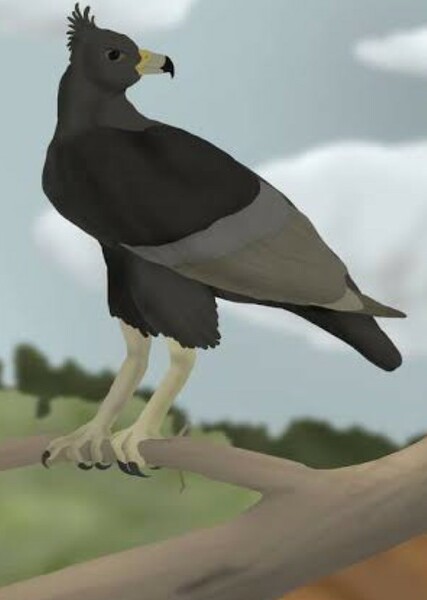 Woodward’s Eagle