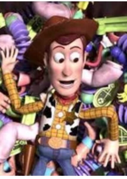 Woody's Nightmare (Toy Story 2) photo