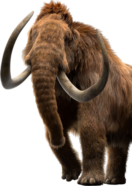 Woolly Mammoth photo