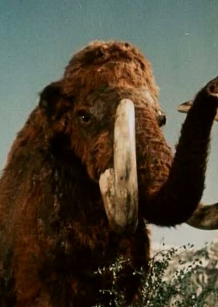 Woolly Mammoth photo