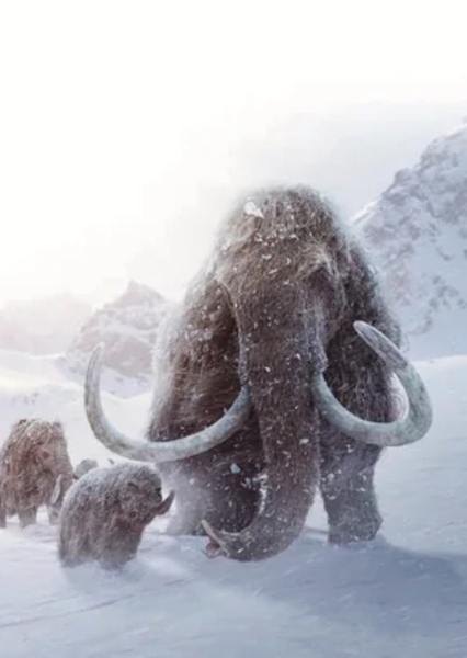 Woolly Mammoth photo