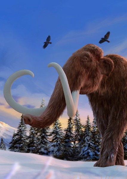 Woolly Mammoth photo