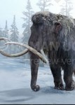 Woolly Mammoth as Megafauna Animals Pack in Zoo Tycoon 2 Ice Age