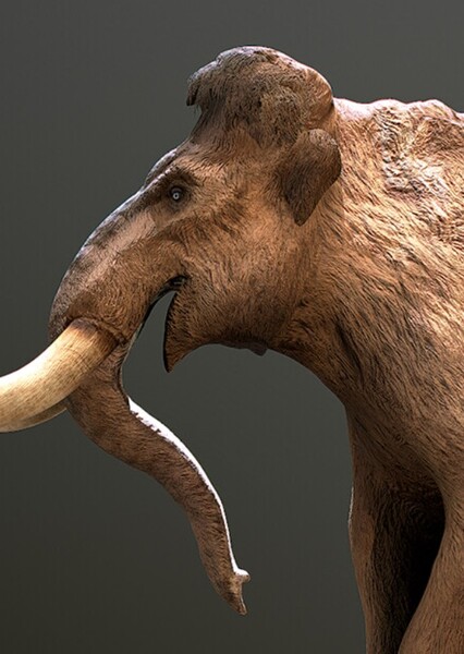 Woolly Mammoth (Prehistoric Kingdom)