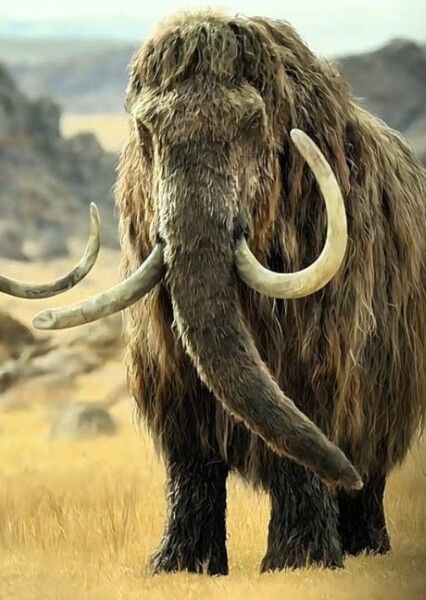 Woolly Mammoth (Prehistoric Planet: Ice Age)