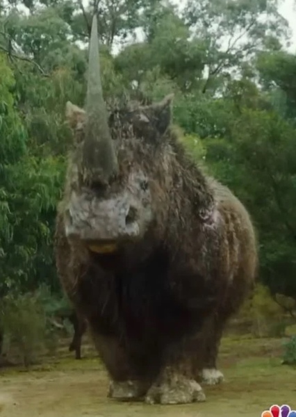 Woolly Rhinoceros