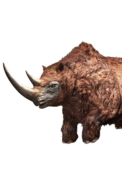 Woolly Rhinoceros (Jurassic World Alive)