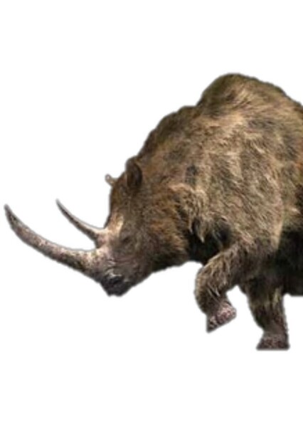 Woolly Rhinoceros (Walking with Beasts)