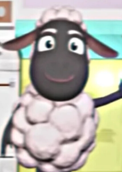 Wooly