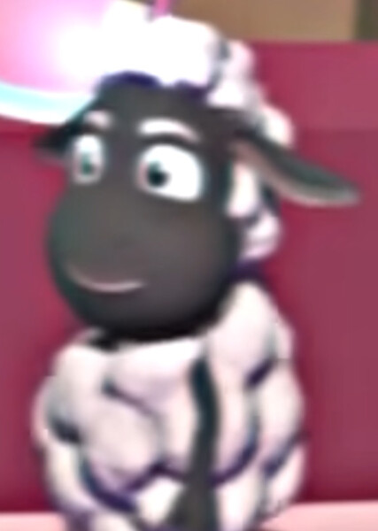 Wooly photo