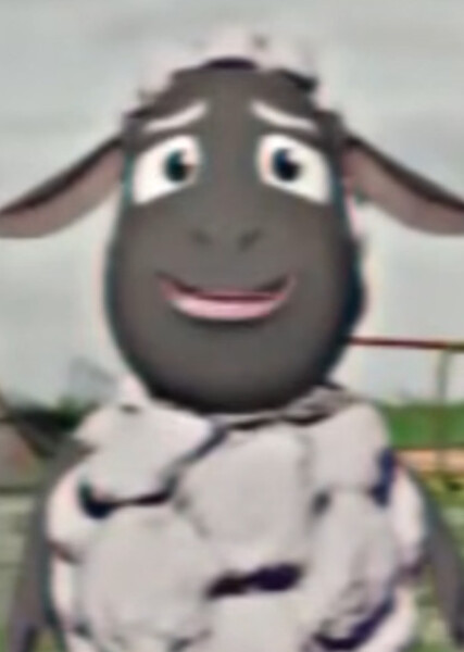 Wooly photo