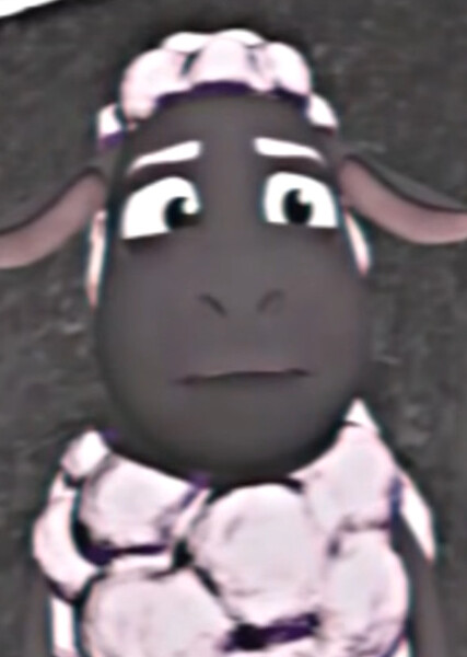 Wooly photo
