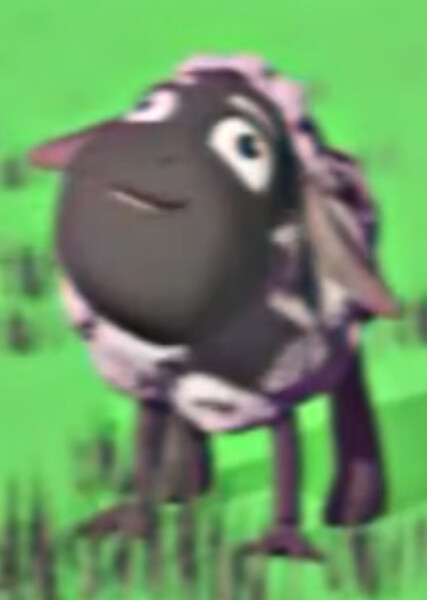 Wooly photo