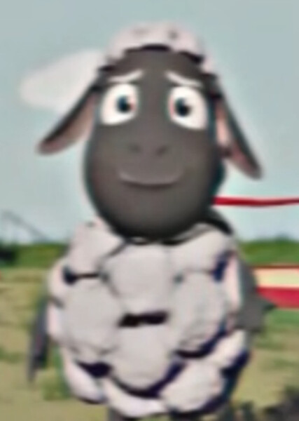Wooly photo