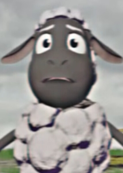 Wooly photo