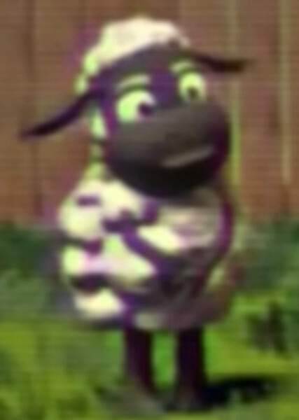 Wooly photo