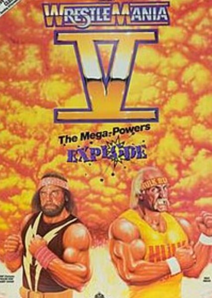 WrestleMania photo