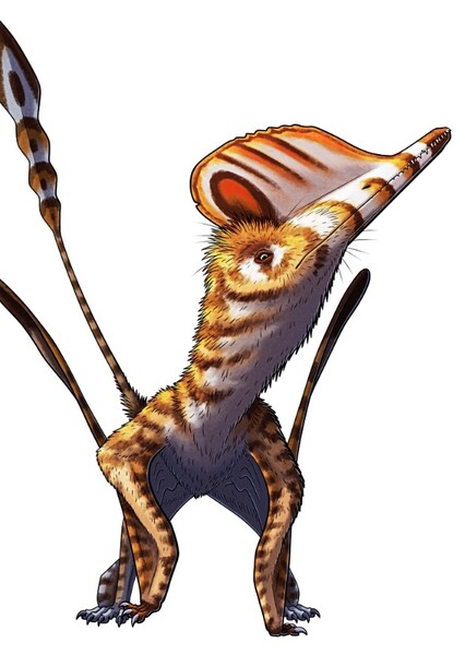 Wukongpterus
