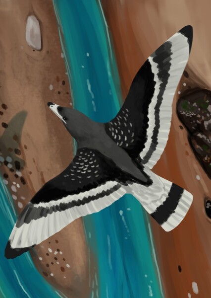 Wyleyia Valdensis