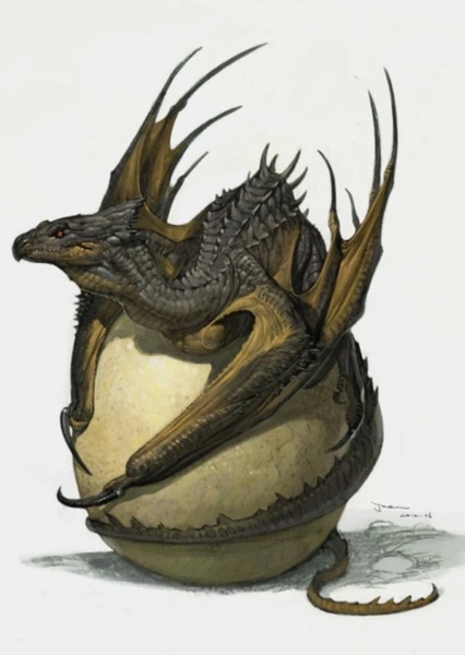 Wyvern photo
