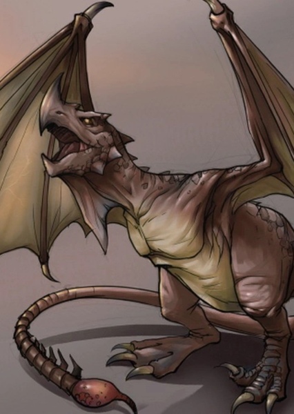 Wyvern photo