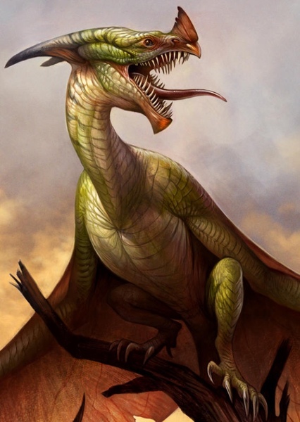 Wyvern photo
