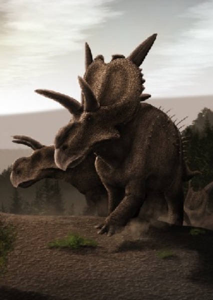 Xenoceratops photo