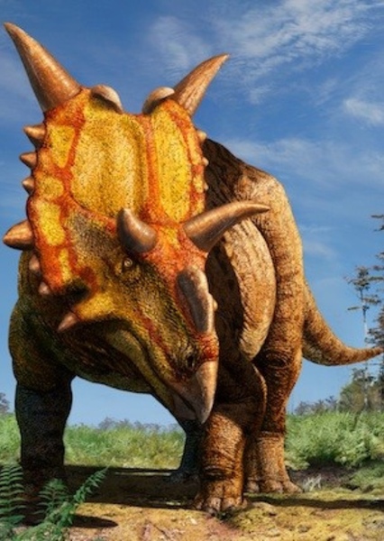 Xenoceratops photo