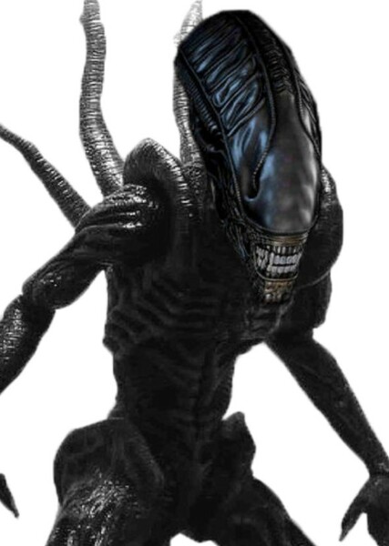 Xenomorph photo