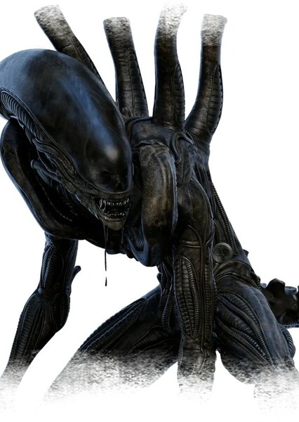 Xenomorph photo