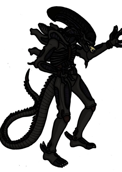 Xenomorph