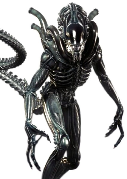 Xenomorph photo
