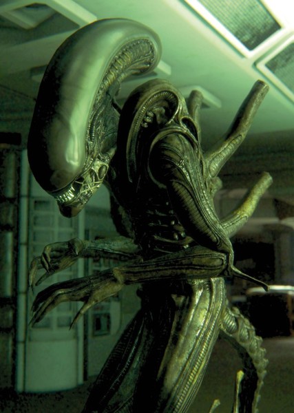 Xenomorph photo