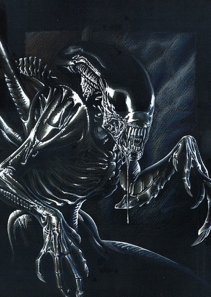 Xenomorph photo