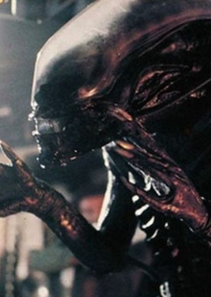 Xenomorph photo