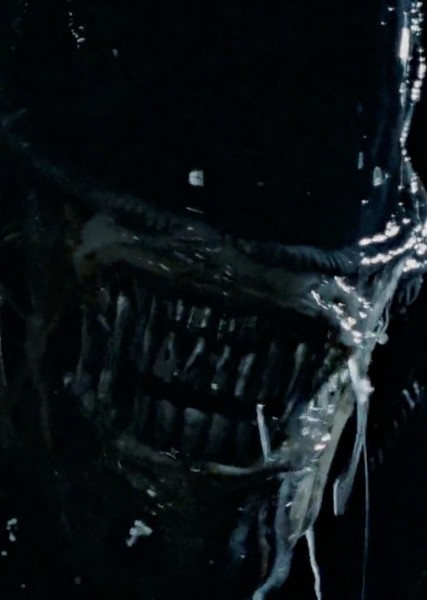 Xenomorph photo