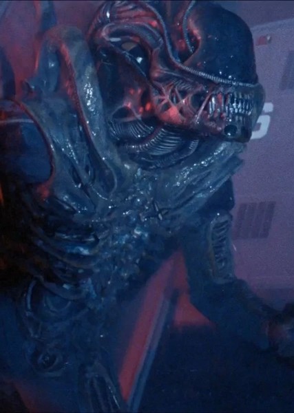 Xenomorph photo