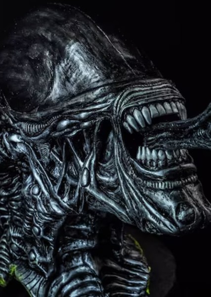 Xenomorph photo