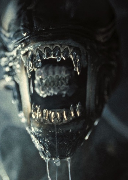 Xenomorph Drone