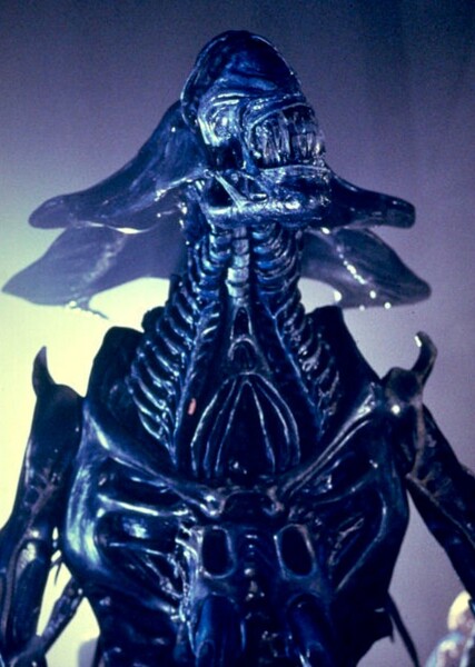 Xenomorph Queen photo