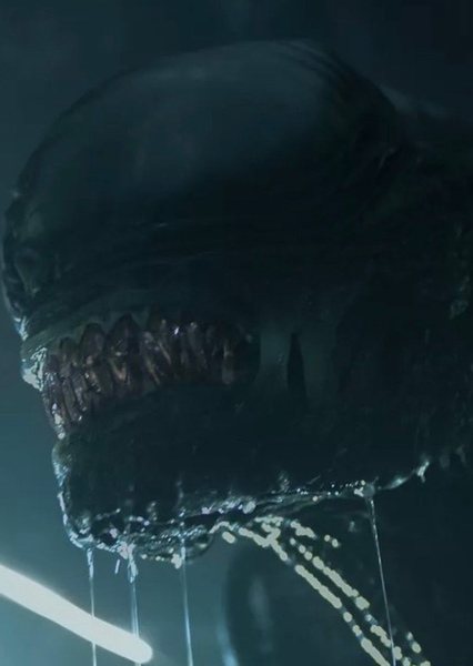 Xenomorph Warrior photo