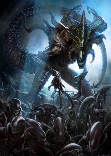 Xenomorphs photo